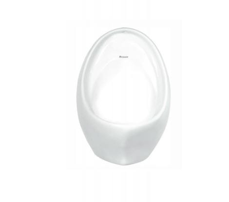 Parryware Niagara Standard Urinal (C05791C)